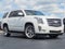 2019 Cadillac Escalade Platinum Edition
