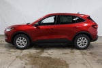 2025 Ford Escape Active Demo