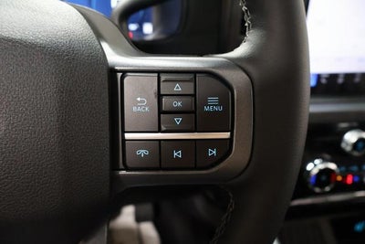 2026 Ford Super Duty F-250 SRW Black Widow Edition