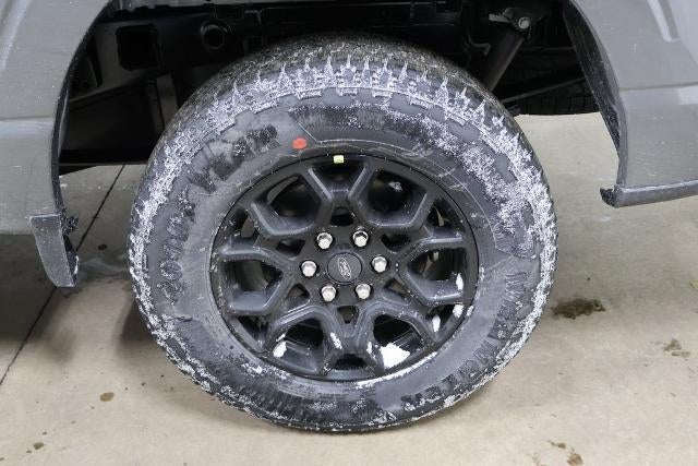 2026 Ford F-150 STX Demo