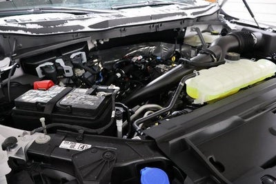 2025 Ford F-150 STX Demo