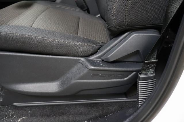 2025 Ford F-150 STX Demo