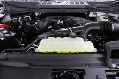 2026 Ford F-150 STX Demo