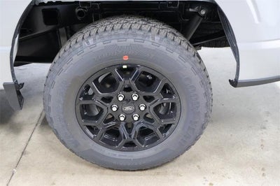 2025 Ford F-150 STX Demo