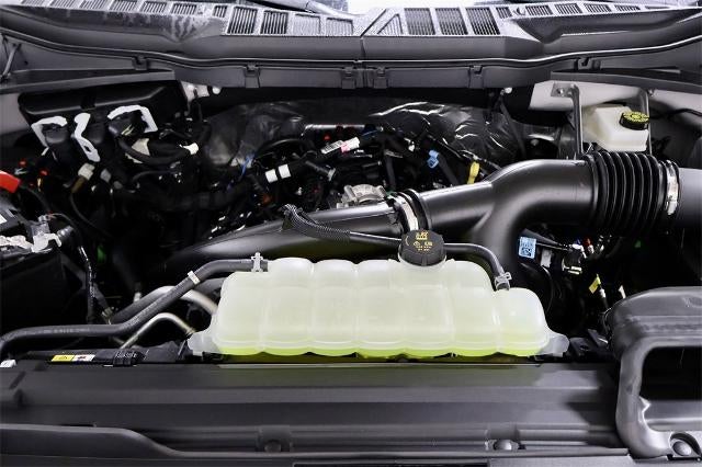 2025 Ford F-150 STX Demo