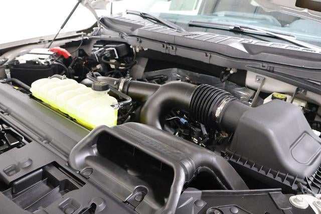 2025 Ford F-150 STX Demo