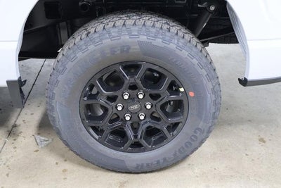 2025 Ford F-150 STX Demo