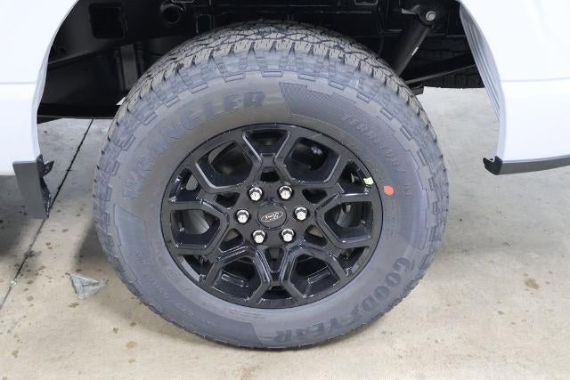 2025 Ford F-150 STX Demo