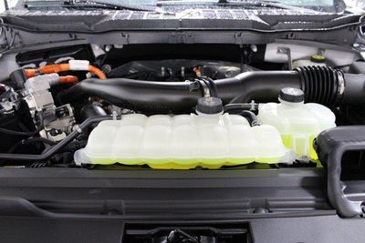 2024 Ford F-150 XLT Demo