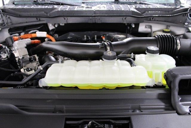 2024 Ford F-150 XLT Demo