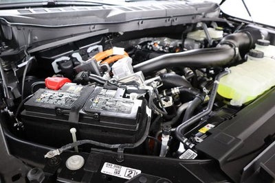 2025 Ford F-150 XLT Demo