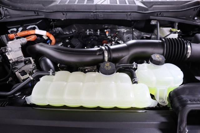 2025 Ford F-150 XLT Demo