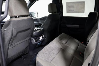 2025 Ford F-150 XLT Demo