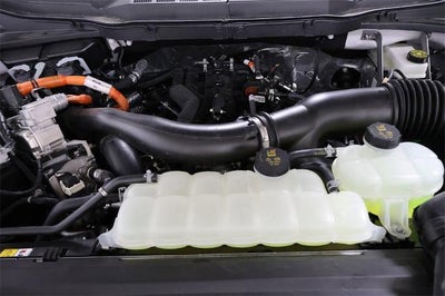 2025 Ford F-150 XLT Demo