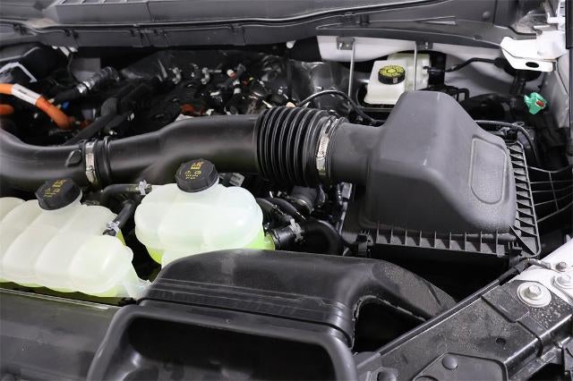 2025 Ford F-150 XLT Demo