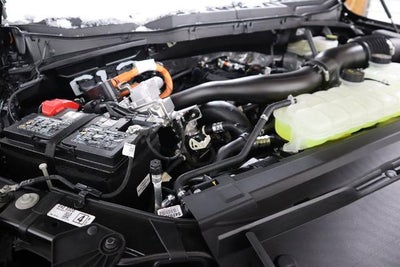 2025 Ford F-150 XLT Demo