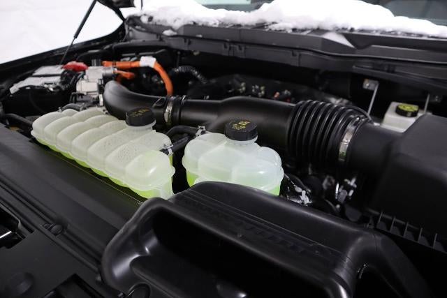 2025 Ford F-150 XLT Demo