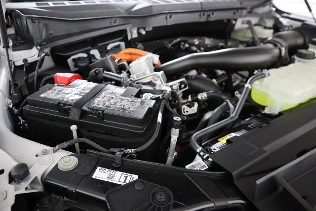 2025 Ford F-150 XLT Demo