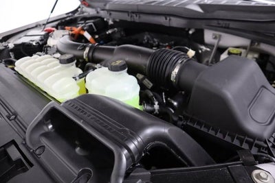 2025 Ford F-150 XLT Demo