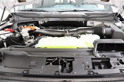 2025 Ford F-150 XLT Demo