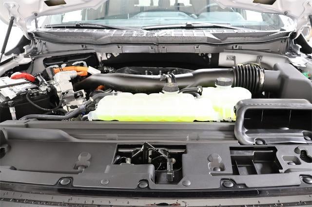 2025 Ford F-150 XLT Demo