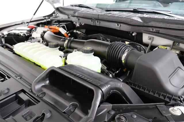 2025 Ford F-150 XLT Demo