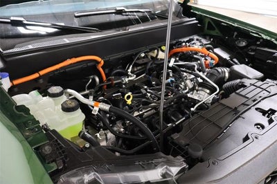 2025 Ford Maverick XLT Demo