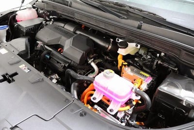 2026 Kia Carnival Hybrid LXS