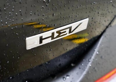 2026 Kia Carnival Hybrid LXS