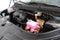 2027 Kia Carnival Hybrid EX