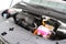 2027 Kia Carnival Hybrid EX