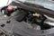 2027 Kia Carnival SX