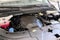 2027 Kia Carnival SX