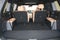 2026 Hyundai SANTA FE Hybrid Calligraphy AWD