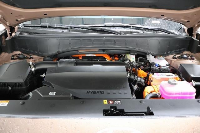 2026 Hyundai Palisade Hybrid Calligraphy FWD