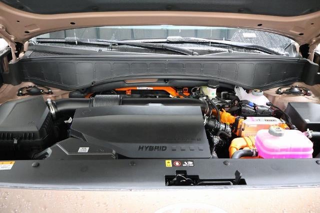 2026 Hyundai Palisade Hybrid Calligraphy FWD