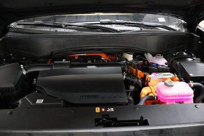 2026 Hyundai Palisade Hybrid Calligraphy AWD