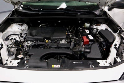 2019 Toyota RAV4 LE AWD (Natl)