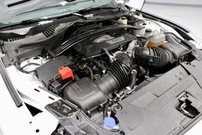 2024 Ford Mustang Dark Horse