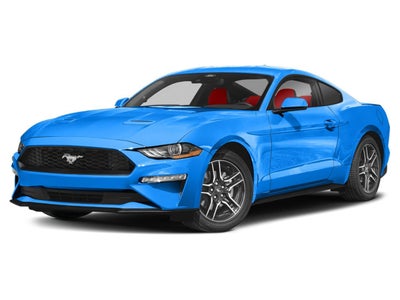 2023 Ford Mustang EcoBoost