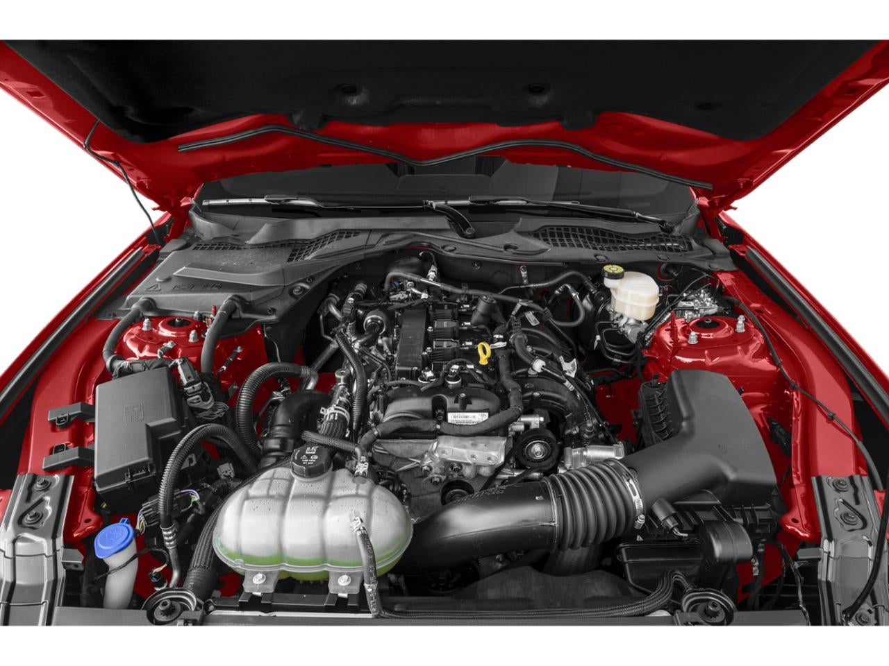 2023 Ford Mustang EcoBoost