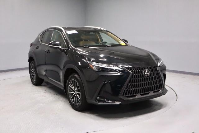 2024 Lexus NX