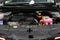 2025 Kia Carnival Hybrid SX